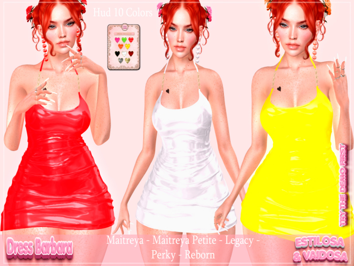 ESTILOSA & VAIDOSA - DRESS BARBARA 