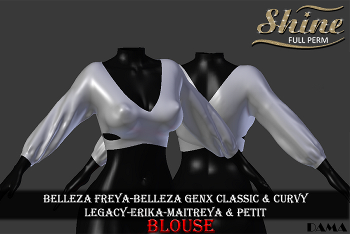 [SHINE FULL PERM] BLOUSE DAMA