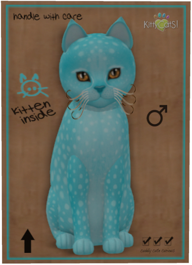 KittyCatS Box - Cheetah! - Blue Raspberry