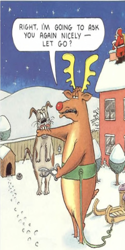 Xmas 9