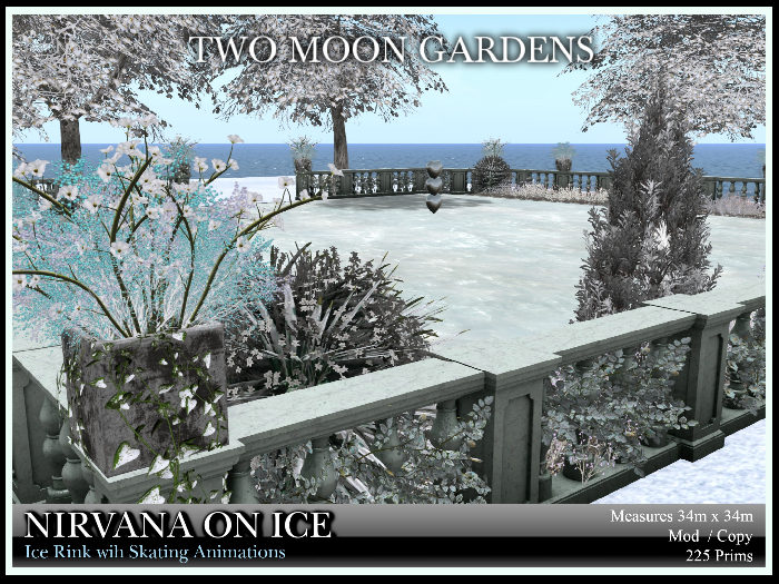 Winter Garden|Nirvana