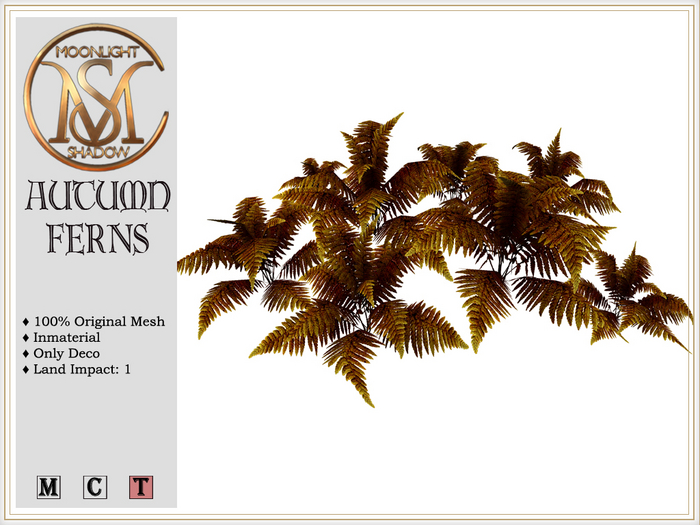 [MoonSha] Autumn Ferns (Boxed)