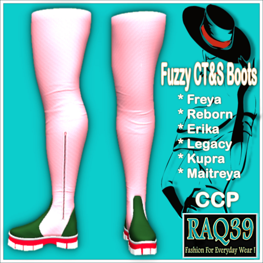 [R39] Fuzzy CT&S Boots-CCP