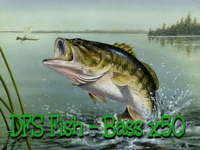 DFS Fish - Bass x50