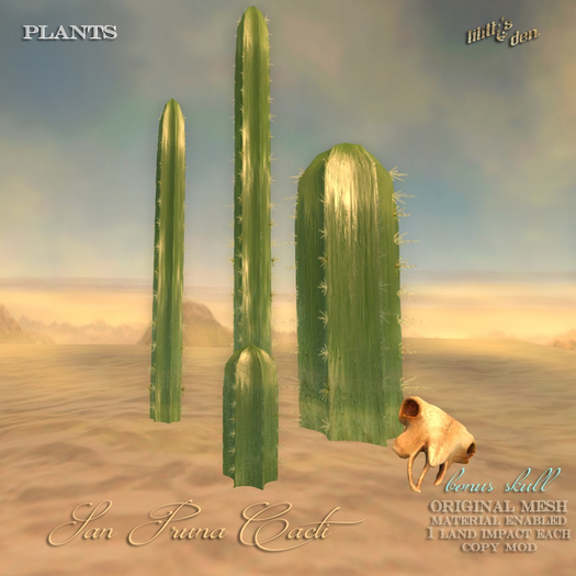 Lilith's Den - San Pruna Cacti - with ram skull