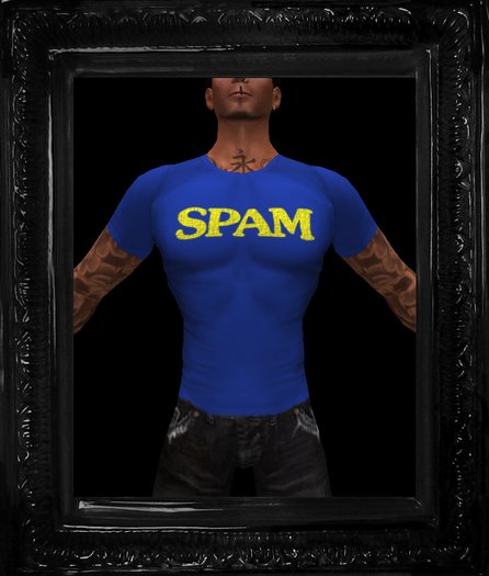 Spam T-shirt