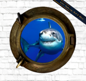Shark Porthole