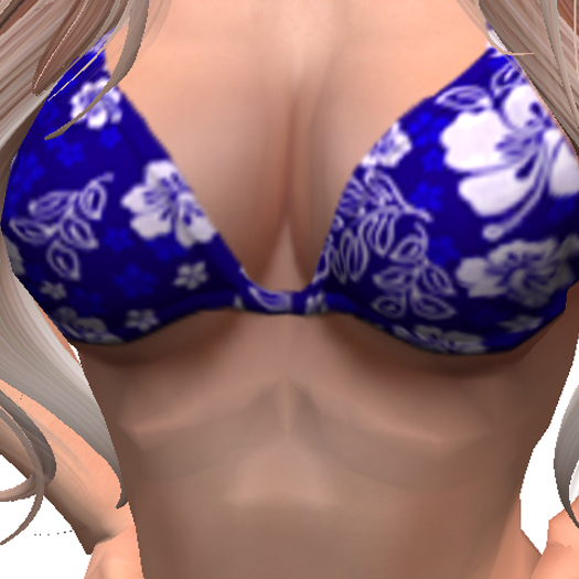 (7S) Common Stuff: Blue Bikini Top