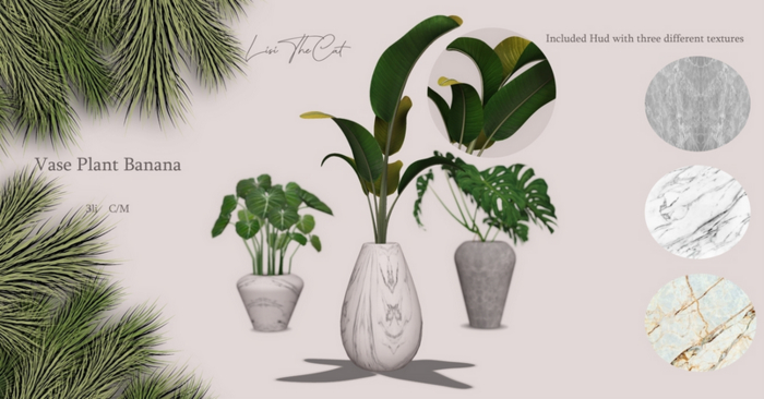 Vase Plant Banana 