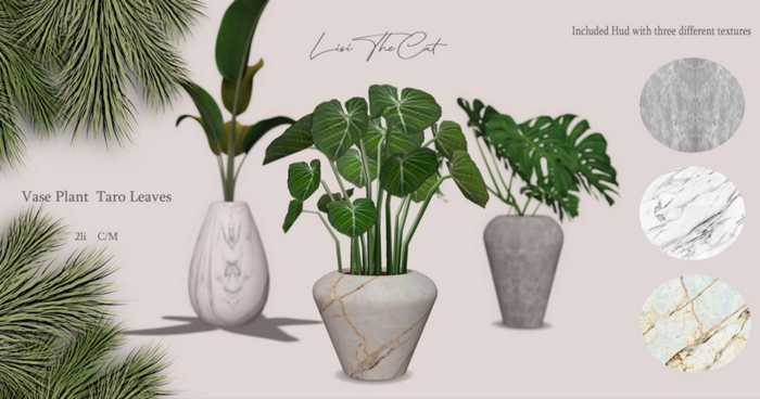 Vase Plant  Taro Leaves 
