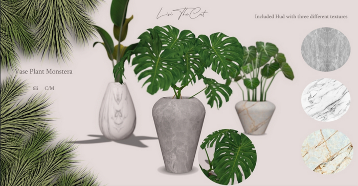 Vase Plant Monstera 