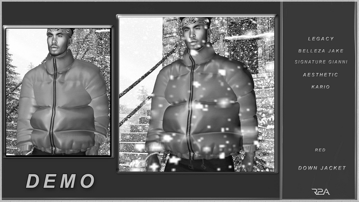 R2A-DOWN JACKET DEMO