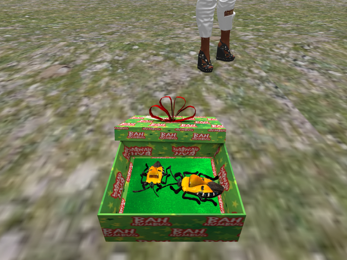 DFS Xmas Box Of Humbugs