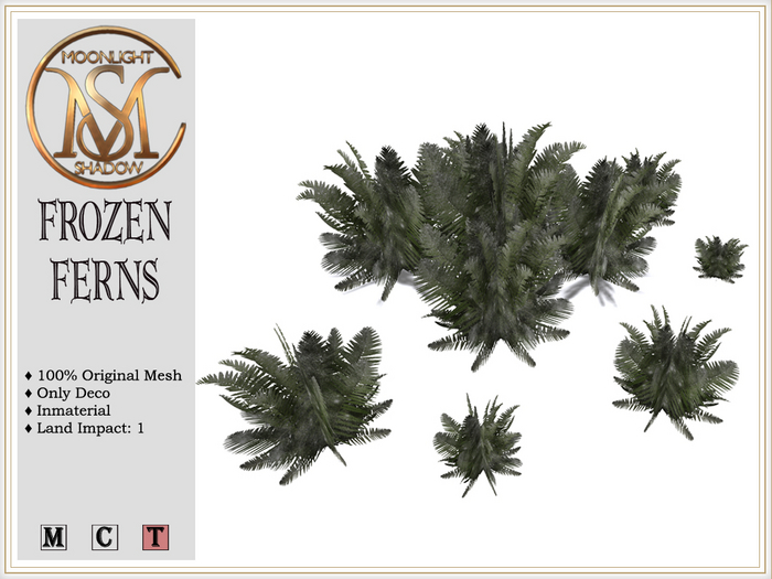 [MoonSha] Frozen Ferns (Boxed)