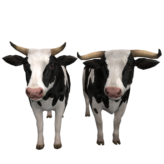 DFS Bull (Male) & Cow (Female) Holstein (2 items)