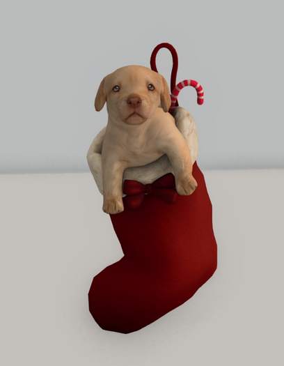 O.M.E.N - Waiting for Santa Paws - Stocking Puppers - RARE