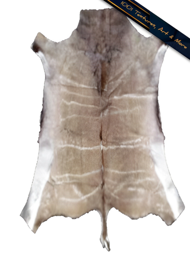 Wild Beast Fur Rug Alpha Texture - Full Perm