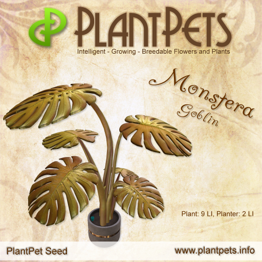 PlantPet Seed [Monstera *Goblin*]