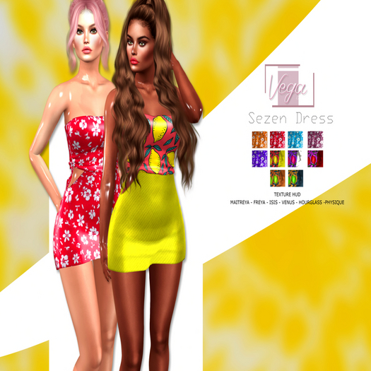 Vega : Mesh Sezen Dress