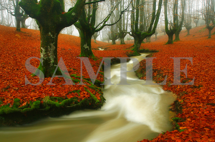 River Of Silk