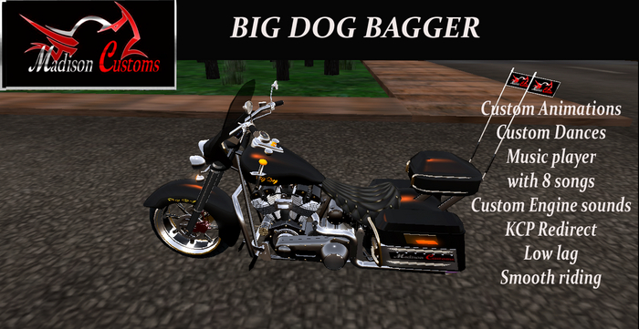 Big Dog Bagger v 4