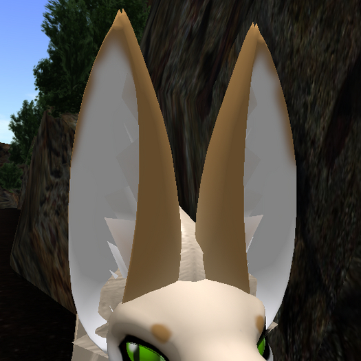 MMnM Bento Tall Ears