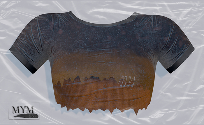 MymStore- SabrinaTop-Orange