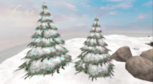 JUNE ~ Winter Tree