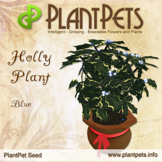 PlantPet Seed [Holly Plant *Blue*]