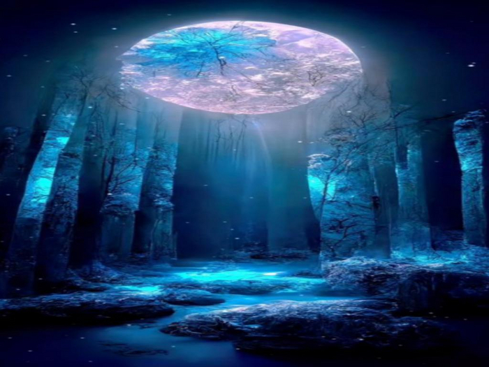 Moonlight Forest Texture