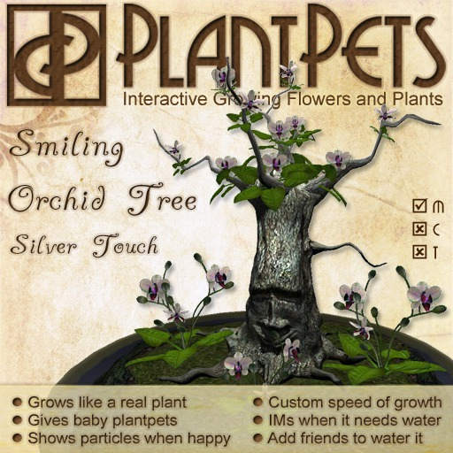 PlantPet Seed [Smiling Orchid Tree *Silver Touch*]
