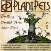 PlantPet Seed [Smiling Orchid Tree *Silver Touch*]