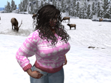 Sweater in Pink - STAR MESH BODY