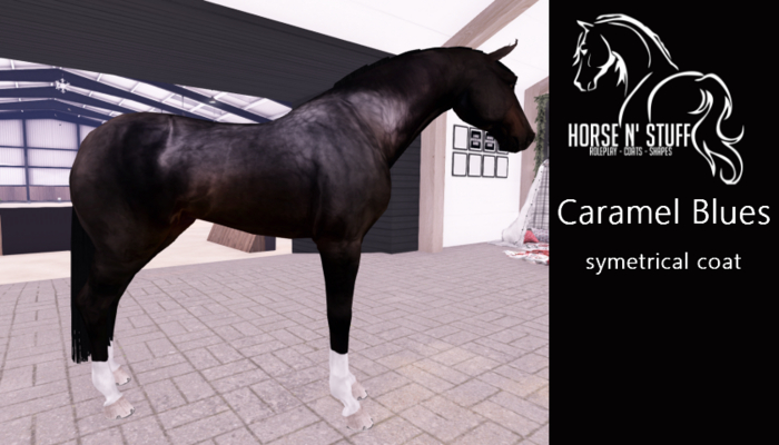 HNS Caramel blues coat