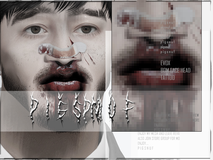 pigsnuf: Diabl'ood