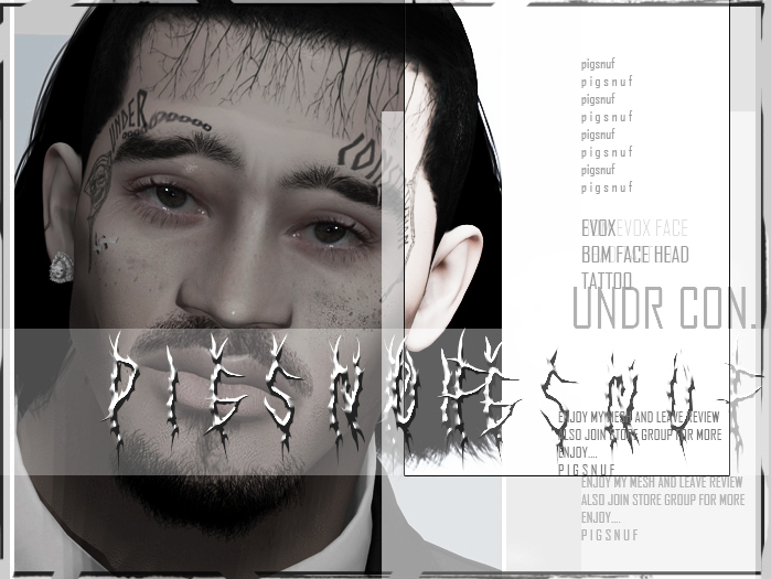 pigsnuf: u n d e R construction