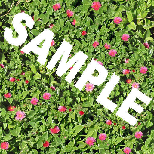 Pink Flowers Bush seamless