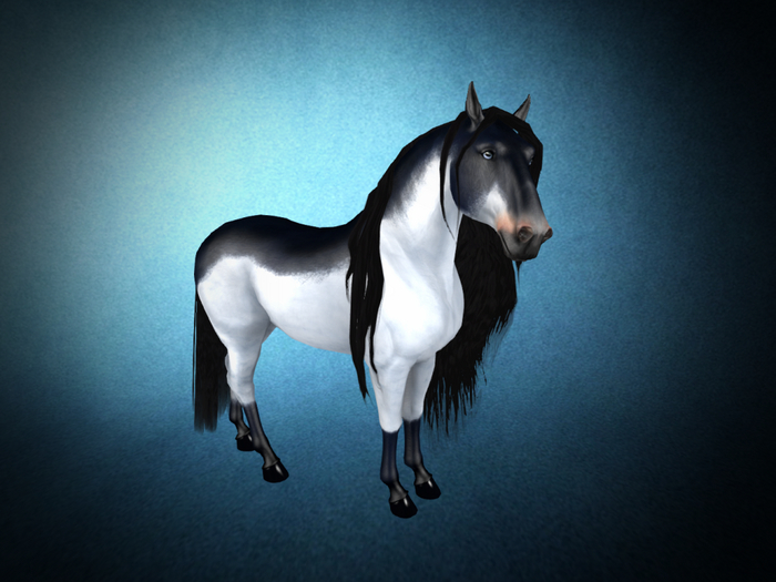 Paskel