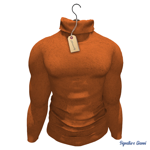 Jrendy Sweater SG Orange
