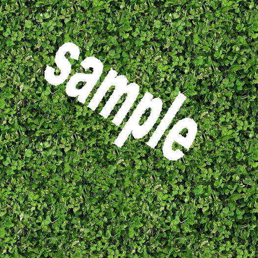 clover hedge seamless