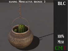 BLC haning minicactus bronze 2