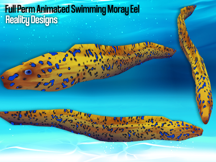 Second Life Marketplace Full Perm Animated Swimming Moray Eel