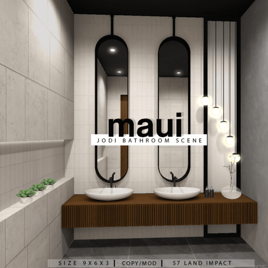 MAUI Jodi Bathroom Scene V1