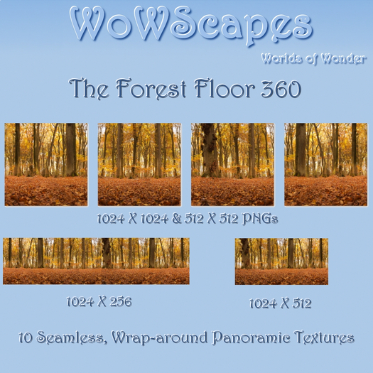 WoWScapes The Forest Floor 360