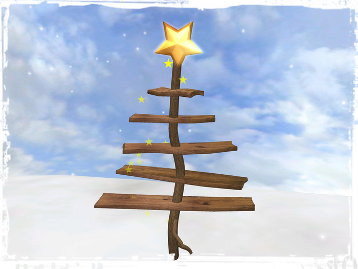 X-Mas tree nature