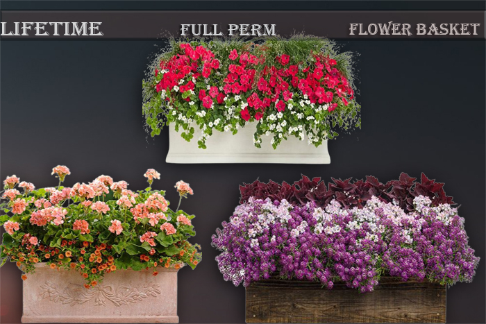 LIFETIME Full Perm Flower 3 Models