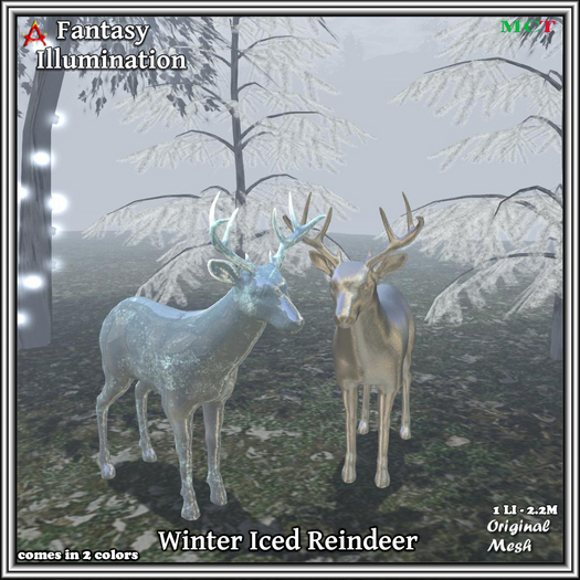 Reindeer