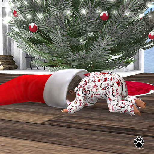 Panthar Inc. What Santa Brings Me