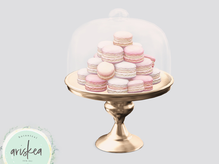 Ariskea[Boujee] Macarons Display