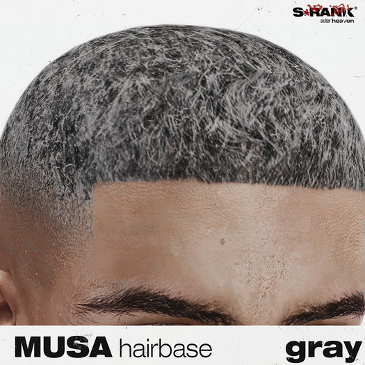 S-RANK "MUSA" HAIRBASE / GRAY